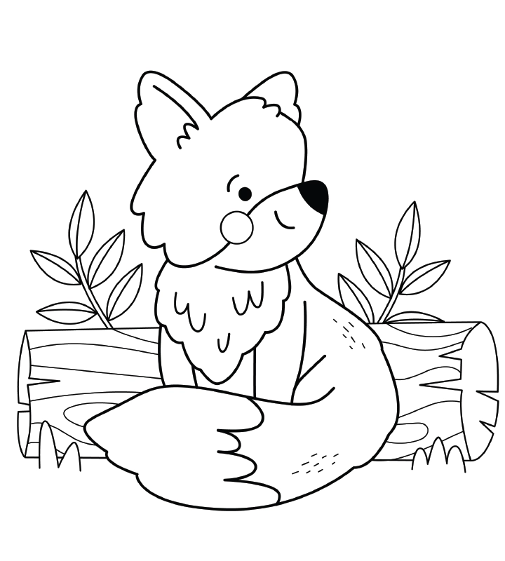 fuchs, ausmalbild, bild zum ausmalen, ausmalbild zum ausdrucken