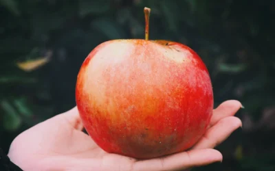 Geriebener Apfel – Wie du ihn richtig zubereitest